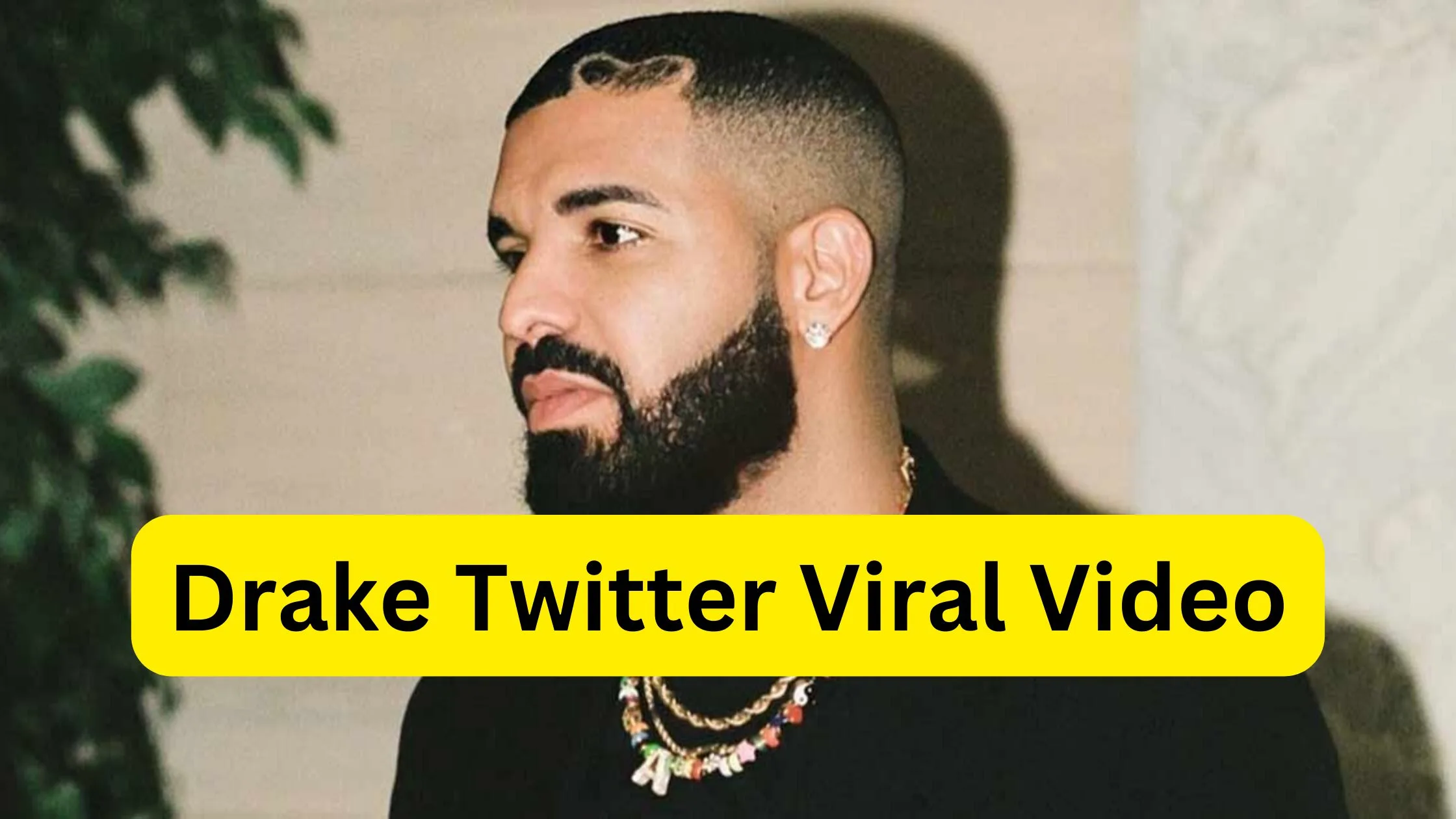 Drake Viral Twitter Video